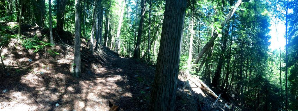 Hitching Post Resort Kelowna Eksteriør bilde