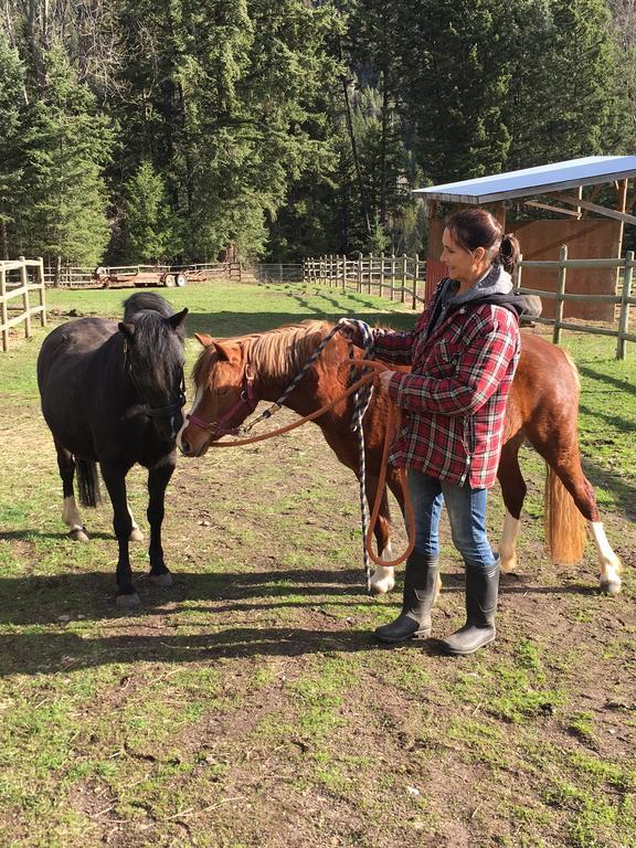 Hitching Post Resort Kelowna Eksteriør bilde